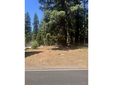 Live in your dream home less an a mile from the Golf Course, Rec on Lake Almanor Country Club in California - for sale on GolfHomes.com, golf home, golf lot