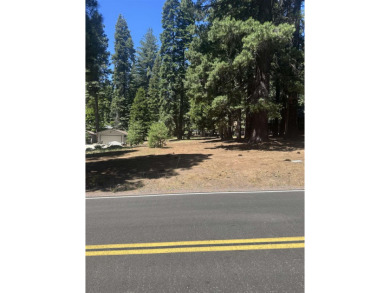 Live in your dream home less an a mile from the Golf Course, Rec on Lake Almanor Country Club in California - for sale on GolfHomes.com, golf home, golf lot