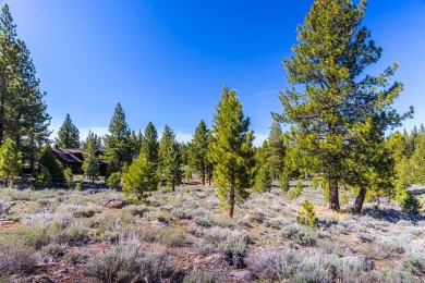 Tucked away on a peaceful cul-de-sac, this exceptional 1-acre on Lahontan Golf Club - Lahontan in California - for sale on GolfHomes.com, golf home, golf lot