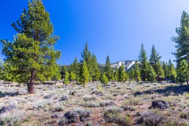 Tucked away on a peaceful cul-de-sac, this exceptional 1-acre on Lahontan Golf Club - Lahontan in California - for sale on GolfHomes.com, golf home, golf lot