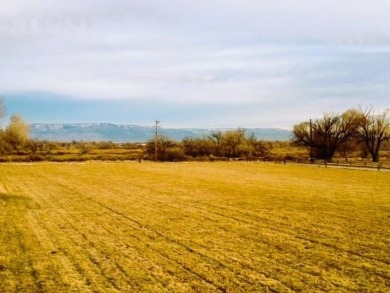 This property offers a remarkable 4.94 acres located on the 1st on Adobe Creek National Golf Course in Colorado - for sale on GolfHomes.com, golf home, golf lot