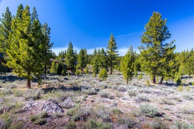 Tucked away on a peaceful cul-de-sac, this exceptional 1-acre on Lahontan Golf Club - Lahontan in California - for sale on GolfHomes.com, golf home, golf lot