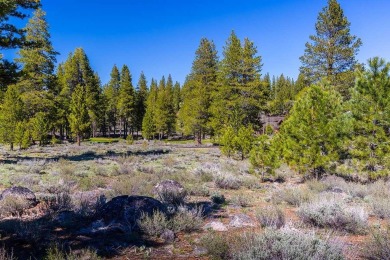 Tucked away on a peaceful cul-de-sac, this exceptional 1-acre on Lahontan Golf Club - Lahontan in California - for sale on GolfHomes.com, golf home, golf lot