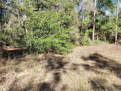 Are you building or investing? This single family homesite in a on Citrus Springs Country Club in Florida - for sale on GolfHomes.com, golf home, golf lot