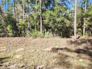 Are you building or investing? This single family homesite in a on Citrus Springs Country Club in Florida - for sale on GolfHomes.com, golf home, golf lot