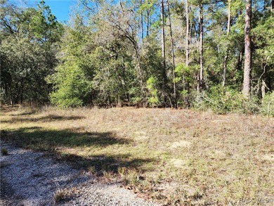 Are you building or investing? This single family homesite in a on Citrus Springs Country Club in Florida - for sale on GolfHomes.com, golf home, golf lot