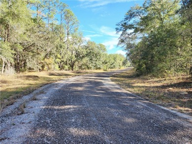 Are you building or investing? This single family homesite in a on Citrus Springs Country Club in Florida - for sale on GolfHomes.com, golf home, golf lot