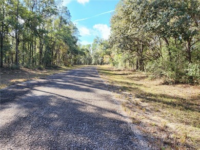 Are you building or investing? This single family homesite in a on Citrus Springs Country Club in Florida - for sale on GolfHomes.com, golf home, golf lot