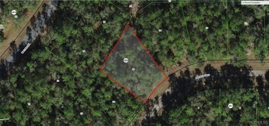 Are you building or investing? This single family homesite in a on Citrus Springs Country Club in Florida - for sale on GolfHomes.com, golf home, golf lot