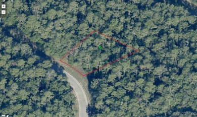 Are you building or investing? This single family homesite in a on Citrus Springs Country Club in Florida - for sale on GolfHomes.com, golf home, golf lot