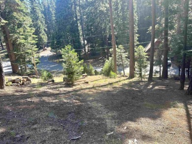 Large Lake Almanor Country Club Lot available for you to build on Lake Almanor Country Club in California - for sale on GolfHomes.com, golf home, golf lot