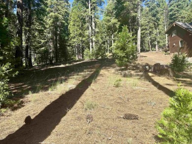 Large Lake Almanor Country Club Lot available for you to build on Lake Almanor Country Club in California - for sale on GolfHomes.com, golf home, golf lot