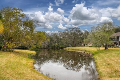 Price Improvement!  Fully updated!  Bring your golf clubs and on East Lake Woodlands Country Club in Florida - for sale on GolfHomes.com, golf home, golf lot