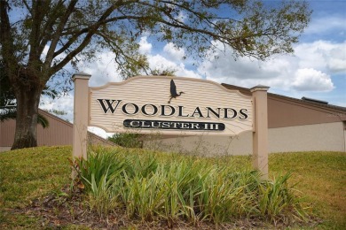 Price Improvement!  Fully updated!  Bring your golf clubs and on East Lake Woodlands Country Club in Florida - for sale on GolfHomes.com, golf home, golf lot