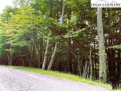 Low side lot with view potential. Minutes to Beech Mountain on Beech Mountain Club in North Carolina - for sale on GolfHomes.com, golf home, golf lot