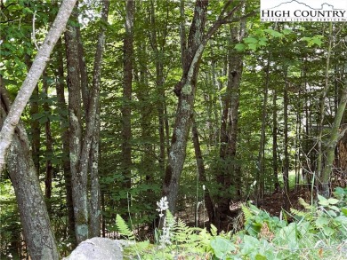 Low side lot with view potential. Minutes to Beech Mountain on Beech Mountain Club in North Carolina - for sale on GolfHomes.com, golf home, golf lot