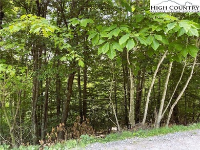Low side lot with view potential. Minutes to Beech Mountain on Beech Mountain Club in North Carolina - for sale on GolfHomes.com, golf home, golf lot