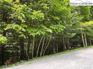 Low side lot with view potential. Minutes to Beech Mountain on Beech Mountain Club in North Carolina - for sale on GolfHomes.com, golf home, golf lot