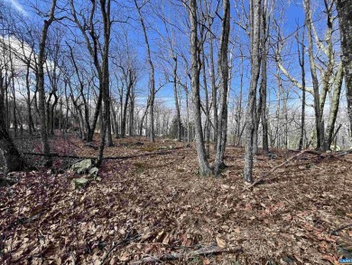 Perfect location to build your dream home on the desirable on Devils Knob in Virginia - for sale on GolfHomes.com, golf home, golf lot
