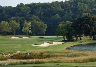 Stunning Building Lot with breathtaking views in Tennessee on Tennessee National Golf Club in Tennessee - for sale on GolfHomes.com, golf home, golf lot