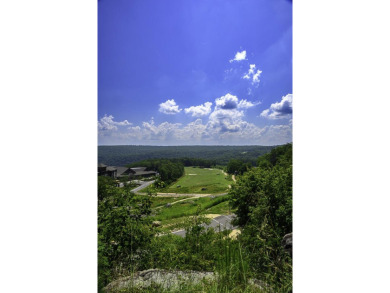 A beautiful large wooded building lot in McLemore for your home on McLemore Golf Club in Georgia - for sale on GolfHomes.com, golf home, golf lot