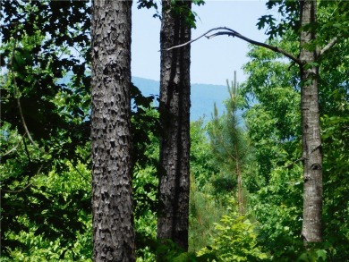 Beautifully wooded lot with gentle build site and some long on The Cliffs At Keowee Falls in South Carolina - for sale on GolfHomes.com, golf home, golf lot