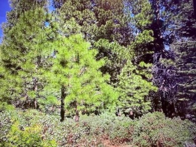 This opportunity to own a very nice level lot located in the on Bailey Creek Golf Course in California - for sale on GolfHomes.com, golf home, golf lot
