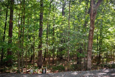 Nestled in the serene community of Seven Lakes South, this prime on Seven Lakes Country Club in North Carolina - for sale on GolfHomes.com, golf home, golf lot