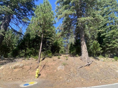 Scenic Corner Lot in Lake Almanor Country Club - Lake Views on Lake Almanor Country Club in California - for sale on GolfHomes.com, golf home, golf lot