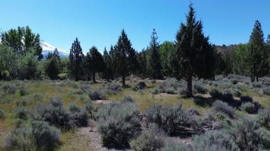 SPECTACULAR VIEWS OF MT. SHASTA AND GOLF COURSE - Discover this on Lake Shastina Golf Course in California - for sale on GolfHomes.com, golf home, golf lot