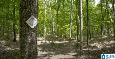 Welcome to South Oak where lifestyle has never been more on Shoal Creek Golf Course in Alabama - for sale on GolfHomes.com, golf home, golf lot
