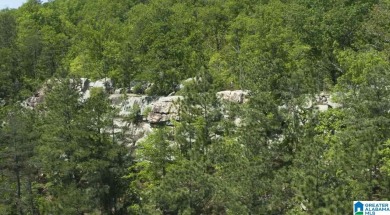 Welcome to South Oak where lifestyle has never been more on Shoal Creek Golf Course in Alabama - for sale on GolfHomes.com, golf home, golf lot
