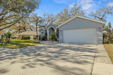 Luxury, Comfort, and Views--This Home Has It All! Perfectly on Silverado Golf and Country Club in Florida - for sale on GolfHomes.com, golf home, golf lot