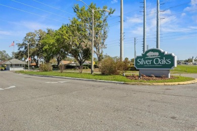 Luxury, Comfort, and Views--This Home Has It All! Perfectly on Silverado Golf and Country Club in Florida - for sale on GolfHomes.com, golf home, golf lot