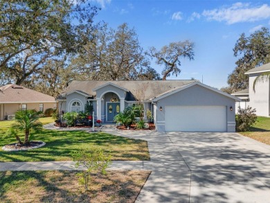 Luxury, Comfort, and Views--This Home Has It All! Perfectly on Silverado Golf and Country Club in Florida - for sale on GolfHomes.com, golf home, golf lot