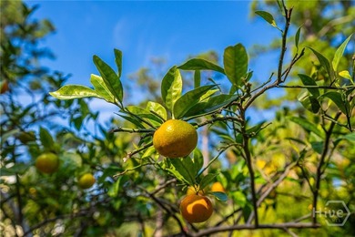 Beautifully situated on a quiet cul-de-sac, this elegant home on The Landings Club - Marshwood in Georgia - for sale on GolfHomes.com, golf home, golf lot