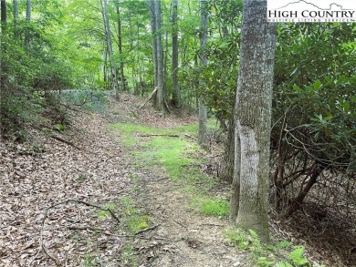 Great lot on a quiet cul de sac. Minutes to the Beech Mountain on Beech Mountain Club in North Carolina - for sale on GolfHomes.com, golf home, golf lot