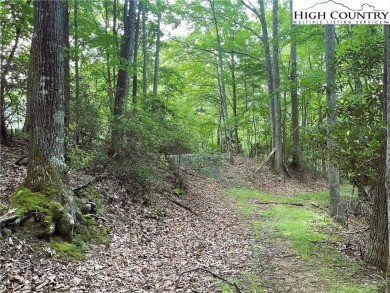 Great lot on a quiet cul de sac. Minutes to the Beech Mountain on Beech Mountain Club in North Carolina - for sale on GolfHomes.com, golf home, golf lot