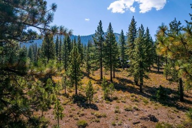 Welcome to a lifestyle defined by beauty, connection, and on Lahontan Golf Club - Lahontan in California - for sale on GolfHomes.com, golf home, golf lot