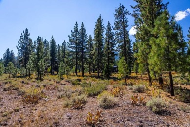 Welcome to a lifestyle defined by beauty, connection, and on Lahontan Golf Club - Lahontan in California - for sale on GolfHomes.com, golf home, golf lot