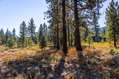 Welcome to a lifestyle defined by beauty, connection, and on Lahontan Golf Club - Lahontan in California - for sale on GolfHomes.com, golf home, golf lot