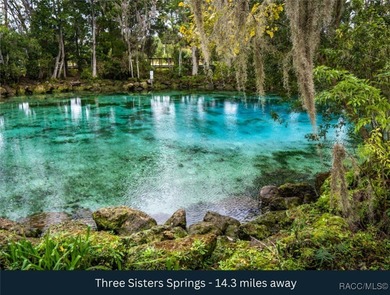 This lot is adjacent to a corner lot at 1263 W Fan Drive on Citrus Springs Country Club in Florida - for sale on GolfHomes.com, golf home, golf lot