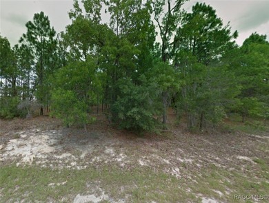 This lot is adjacent to a corner lot at 1263 W Fan Drive on Citrus Springs Country Club in Florida - for sale on GolfHomes.com, golf home, golf lot