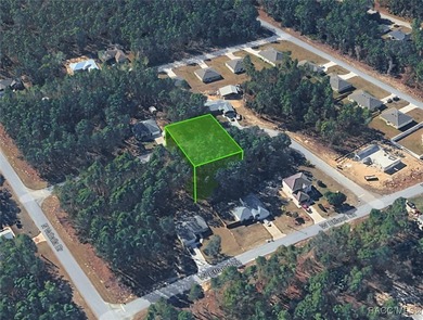 This lot is adjacent to a corner lot at 1263 W Fan Drive on Citrus Springs Country Club in Florida - for sale on GolfHomes.com, golf home, golf lot