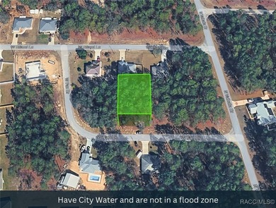 This lot is adjacent to a corner lot at 1263 W Fan Drive on Citrus Springs Country Club in Florida - for sale on GolfHomes.com, golf home, golf lot