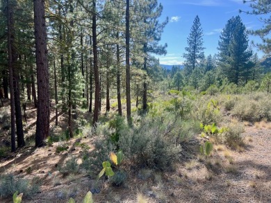 Adventure seekers and dream-home builders, get ready to stake on Nakoma Golf Resort in California - for sale on GolfHomes.com, golf home, golf lot