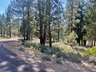 Adventure seekers and dream-home builders, get ready to stake on Nakoma Golf Resort in California - for sale on GolfHomes.com, golf home, golf lot