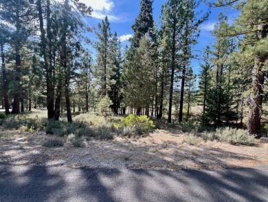 Adventure seekers and dream-home builders, get ready to stake on Nakoma Golf Resort in California - for sale on GolfHomes.com, golf home, golf lot