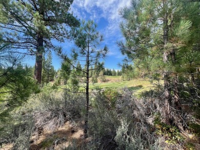 Calling all thrill-seekers and mountain dreamers, get pumped to on Nakoma Golf Resort in California - for sale on GolfHomes.com, golf home, golf lot