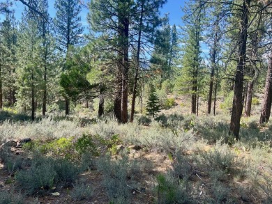 Calling all thrill-seekers and mountain dreamers, get pumped to on Nakoma Golf Resort in California - for sale on GolfHomes.com, golf home, golf lot